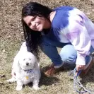 Pampered Pups - Sick/Underweight dog - Photo 1 - comment #2024573