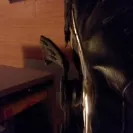 Nike - shoes falling apart - Photo 4 - comment #1938393