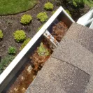 Ned Stevens Gutter Cleaning & General Contracting - Incomplete gutter cleaning - Photo 1 - comment #1013158