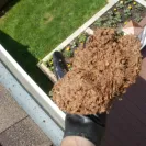 Ned Stevens Gutter Cleaning & General Contracting - Incomplete gutter cleaning - Photo 2 - comment #1013158