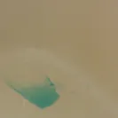 Super 8 - Unclean and unsafe hotel - Photo 1 - comment #1645085