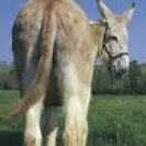 IC System - rude employee and manager! - Photo 1 - comment #376176