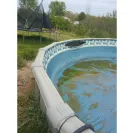 Blue World Pools - $299.00 pool - Photo 1 - comment #2230687