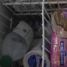 Dollar Tree - Dollar tree survey - Photo 1 - comment #1747358
