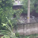 Municipal Corporation of Delhi [MCD] - non removal of the garbage - Photo 2 - comment #1069422