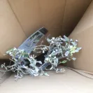 Gardening Express - Quick to take your money, but try and complain or ask for refund - they will not answer you - Photo 1 - comment #2099482