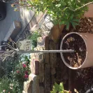 Gardening Express - Quick to take your money, but try and complain or ask for refund - they will not answer you - Photo 2 - comment #2099482