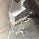 Flex Seal - over charging for order - Photo 1 - comment #1944834