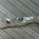 Rakhi Worldwide - Rakhi delivery order - Photo 1 - comment #1812839