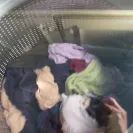 Whirlpool - product is junk, they don't honor warranty and the customer service sucks! - Photo 2 - comment #1765551