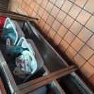 Denny's - poor management - unacceptable behavior - Photo 5 - comment #2252085