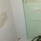 NYC Housing Authority [NYCHA] - Broken refrigerator - Photo 2 - comment #1993002