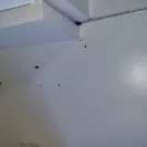 NYC Housing Authority [NYCHA] - Broken refrigerator - Photo 3 - comment #2567521