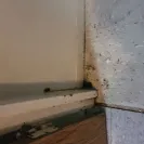 NYC Housing Authority [NYCHA] - Broken refrigerator - Photo 6 - comment #2567521
