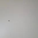 NYC Housing Authority [NYCHA] - Broken refrigerator - Photo 4 - comment #2567521