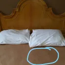 Choice Hotels - Billing issues! - Photo 6 - comment #1824486