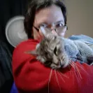Everpet - sick cats from eating this cat food - Photo 1 - comment #1739891