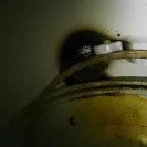 Maytag - problems with the ice maker! - Photo 3 - comment #1723861