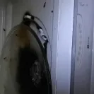 Maytag - problems with the ice maker! - Photo 4 - comment #1723861