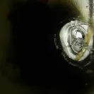 Maytag - problems with the ice maker! - Photo 5 - comment #1723861