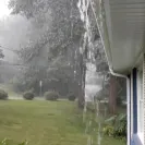 Champion Windows - misinformed people! - Photo 1 - comment #2195902