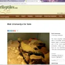 BackwaterReptiles.com - Unethical Business Practices - Photo 1 - comment #1616841