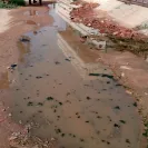 GHMC - sewage drainage leaking - Photo 2 - comment #1726167