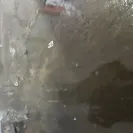 GHMC - sewage drainage leaking - Photo 1 - comment #2069168