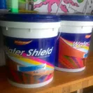 Dulux Paints - hallelujah - Photo 1 - comment #2051135