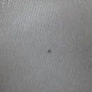 Hilton Worldwide - poorly run hotel - Photo 1 - comment #1866518