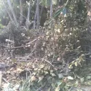 Florida Power & Light [FPL] - customer relations - Photo 1 - comment #1961304