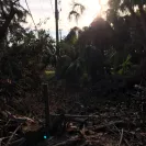 Florida Power & Light [FPL] - customer relations - Photo 2 - comment #1961304
