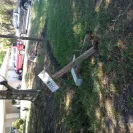 Florida Power & Light [FPL] - customer relations - Photo 2 - comment #2251606