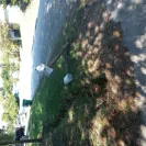Florida Power & Light [FPL] - customer relations - Photo 1 - comment #2251606