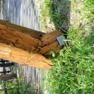 Florida Power & Light [FPL] - customer relations - Photo 2 - comment #2275984