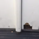 Door Clearance Center - False advertising - Photo 1 - comment #2081087