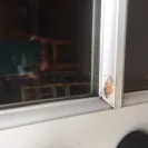 Door Clearance Center - False advertising - Photo 3 - comment #2081087