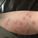 Palm Partners - horrible experience!!! - Photo 1 - comment #1680231
