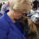 Broadcreek Malinois Maryland - arrogant and disrespectful - Photo 1 - comment #1377259