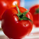 Instaforex - 80% daily rebate for you - Photo 1 - update #1207381