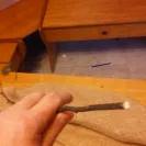 Wholesale Nursery Company - Refusal to refund - Photo 1 - comment #1830677