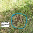 Wholesale Nursery Company - Refusal to refund - Photo 1 - comment #2029462