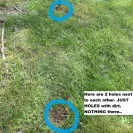Wholesale Nursery Company - Refusal to refund - Photo 3 - comment #2029462