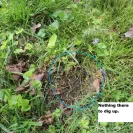 Wholesale Nursery Company - Refusal to refund - Photo 4 - comment #2029462