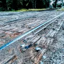Union Pacific - management practices - Photo 1 - comment #2076471