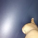 Intex Recreation - faulty mattress and defective - Photo 7 - comment #1746250