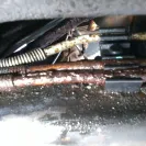 General Motors - Had me sell my vehicle then provided no financing - Photo 1 - comment #1651839