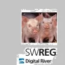 Digital River - non payment / theft - Photo 1 - update #1252755