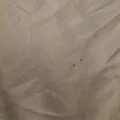 Red Roof Inn - Overcharged and will not refund! - Photo 7 - comment #2061661