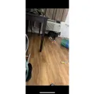 Red Roof Inn - Overcharged and will not refund! - Photo 3 - comment #2493424